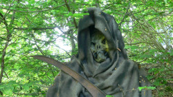 Freund Hein
In jedem Krieg unterwegs Winfried Gille Freund Hein